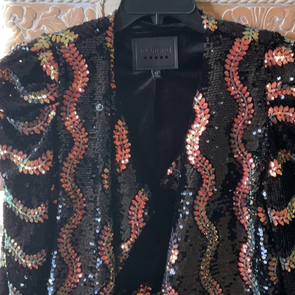 NWOT Puff Sleeve Sequin Blazer
BLANKNYC - Picture 8 of 16